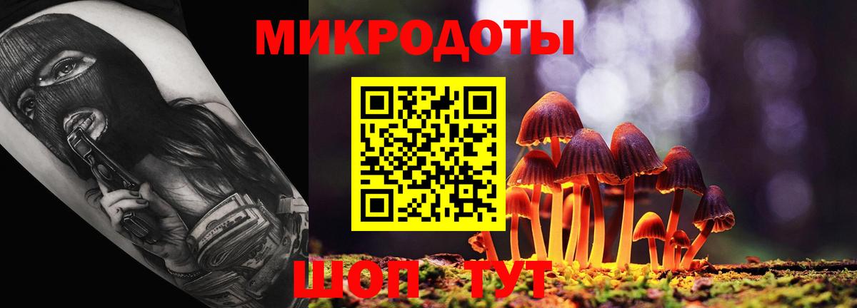 Костомукша  Псилоцибиновые грибы Psilocybe  Вход с VPN 